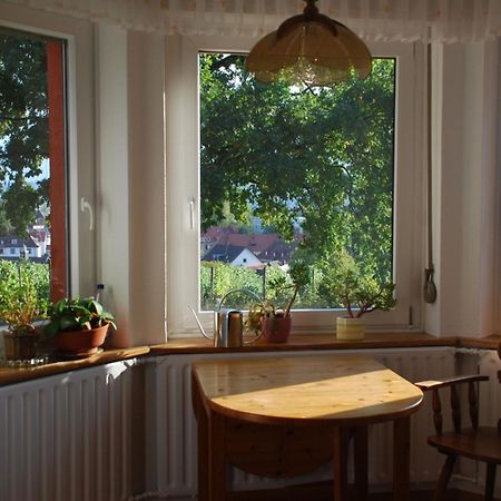 Апартаменти Rotes Haus Ueber Den Weinbergen Констанц Екстер'єр фото